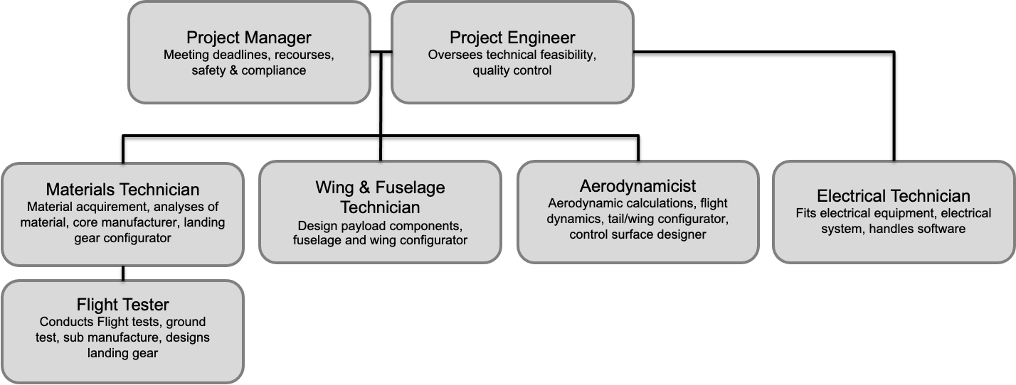 Team Roles and Structure